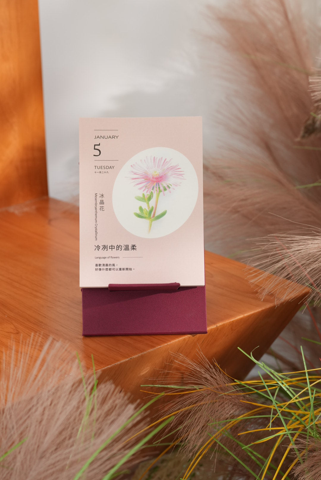 2027鮮花圖鑑日曆|每天認識一種花卉